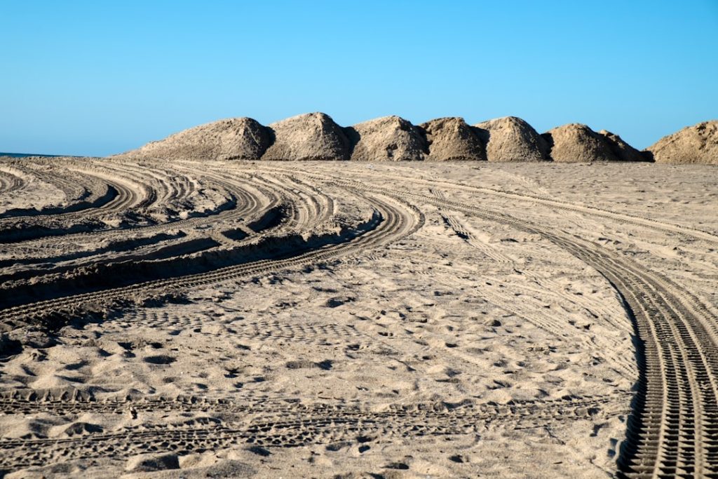 トカゲの体動を応用、火星ローバーが砂地を自在に移動する蛇行車輪を開発